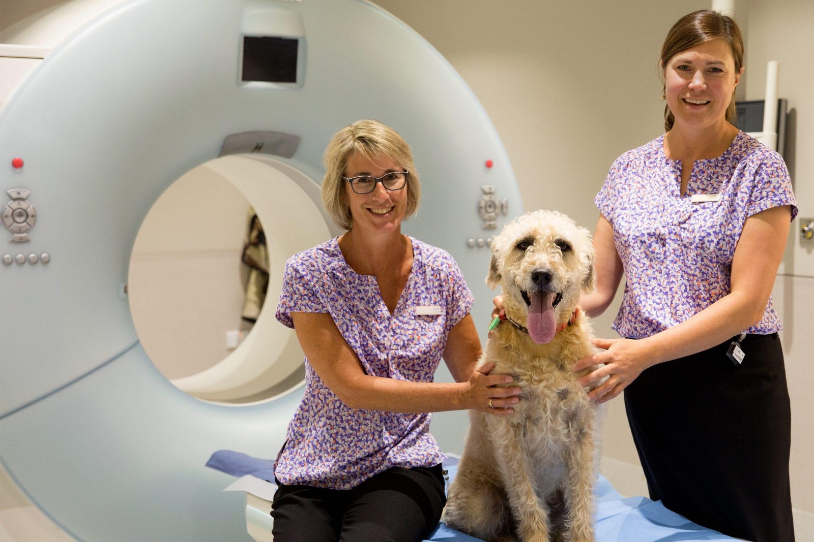 what does a mri cost for a dog
